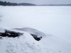 IMG_20150321_130019.jpg