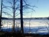 IMG_20150415_171153.jpg