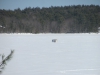 IMG_4444.JPG