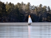 DSC_1034