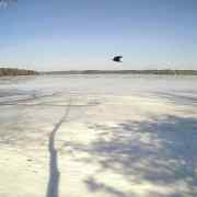 campic_20240227-112730