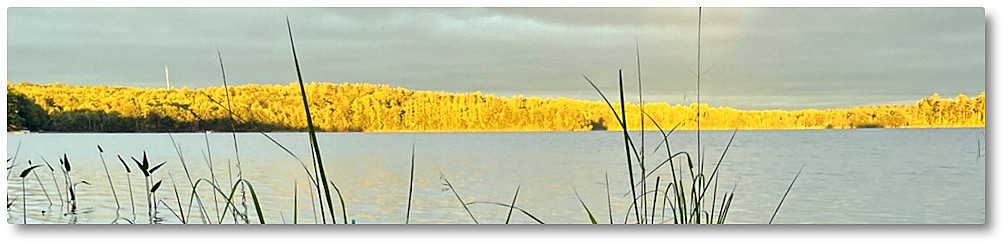 Clary Lake Association