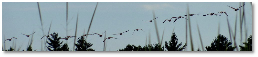 Clary Lake Association