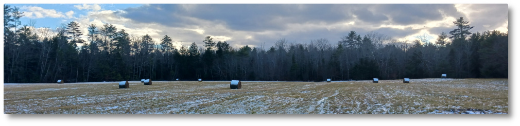 Clary Lake Association