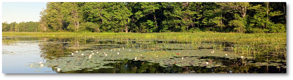 Clary Lake Association