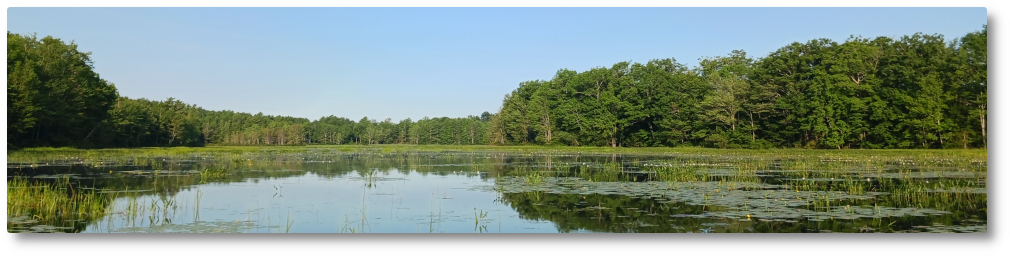 Clary Lake Association